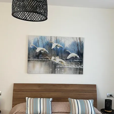 Giuditta E Angelo Nest
